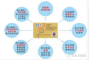 品牌冠名植入消费福利卡 企业广告终身宣传计划的创新策略与广告代理机制